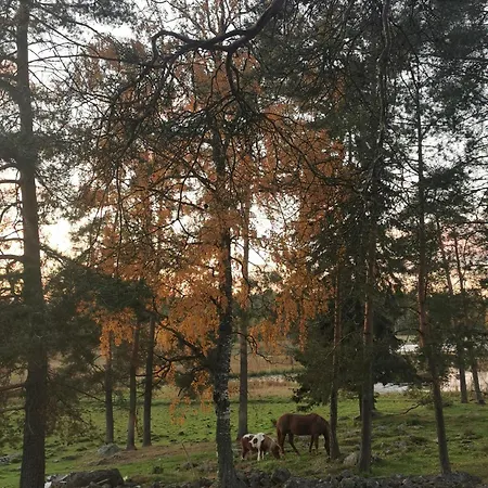 Οργανωμένο κάμπινγκ Taivasalla Glamping - Luxury With A View To The *