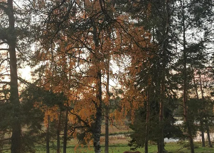 豪华帐篷 Taivasalla Glamping - Luxury With A View To The *